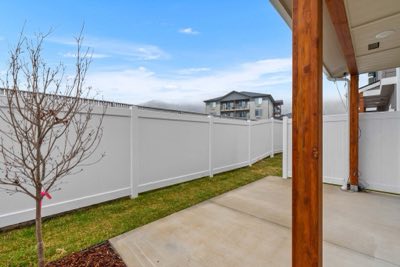 The yard from under the patio cover