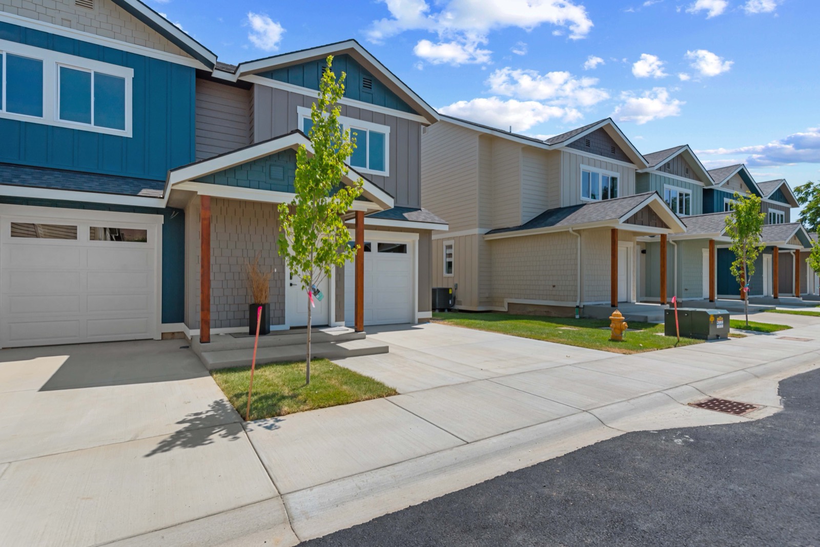Front elevation and driveway