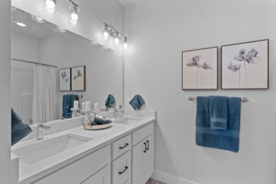 Primary ensuite, double vanity