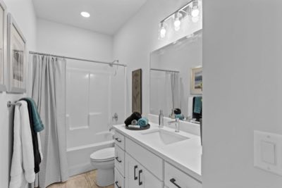 Full bath — tub, shower, vanity